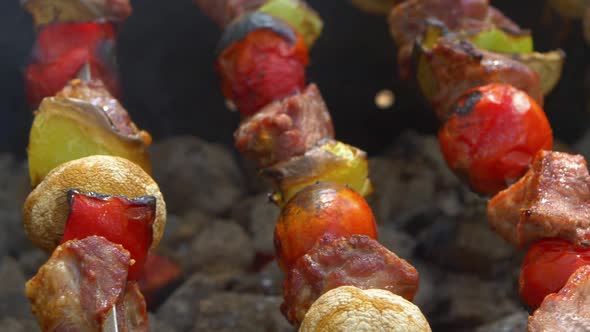Skewers with Delicious Kebabs or Barbeque on Brazier, Cam Moves To the Right, Slider, Close Up