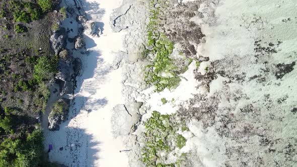 Vertical Video of Low Tide in the Ocean Near the Coast of Zanzibar Tanzania Aerial View