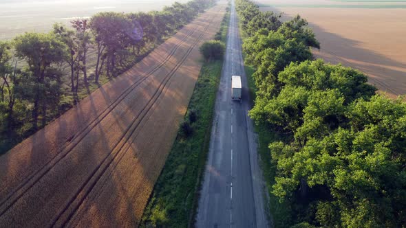 Aerial Drone View Flight Over Highway Wheat Field and Green Trees at Sunset Dawn