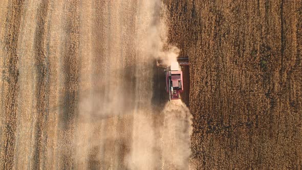 Aerial View  Combine Harvester Agriculture Machine Harvesting Golden Ripe Wheat Field