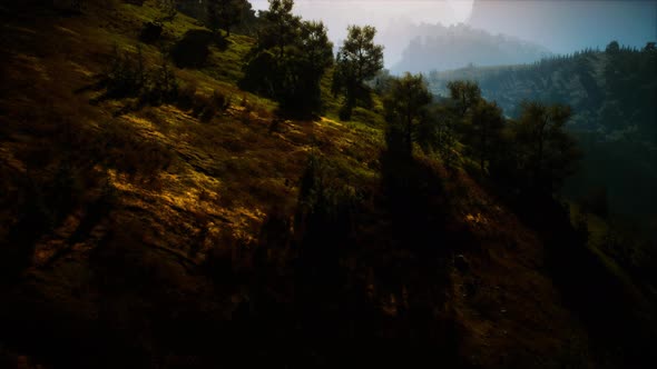 Autumn Forest on Green Rocky Hills