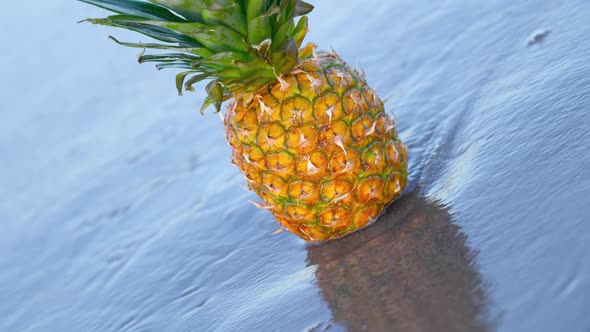 Tasty Pineapple is Bathed in Sea Water