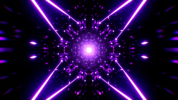 Abstract Symmetrical Purple Visual Art