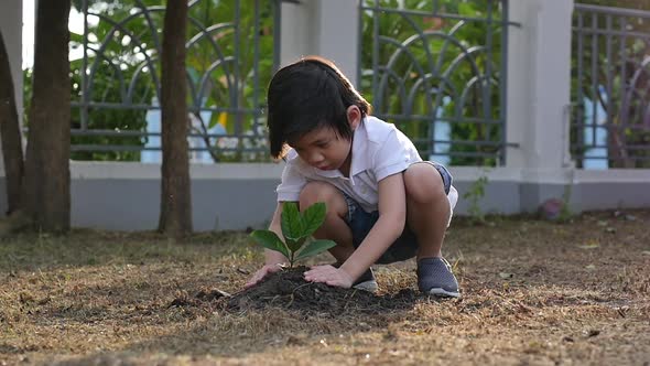 Cute Asian Child Planting Young Tree On The Black Soil  