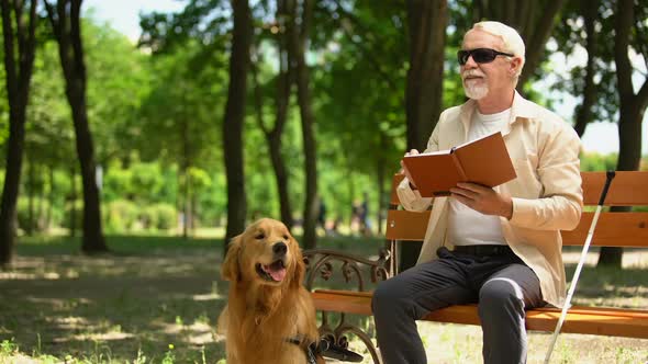 Blind Pensioner With Dog Enjoying Rest in Park, Social Protection for Impaired