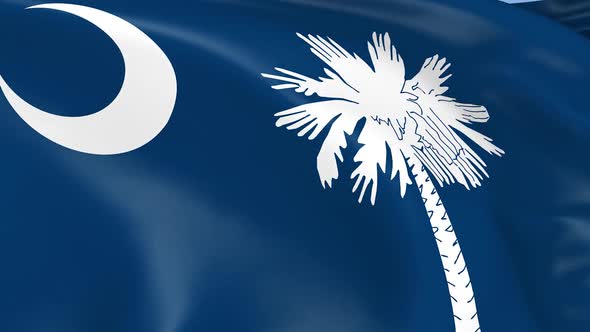 South Carolina State Flag