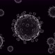 Corona Virus 4k - VideoHive Item for Sale