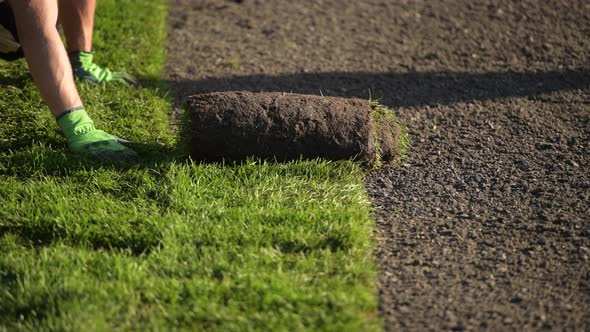 New Natural Grass Turf Installed