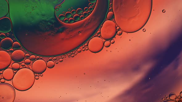 Abstract Colorful Food Oil Drops Bubbles 260 alt