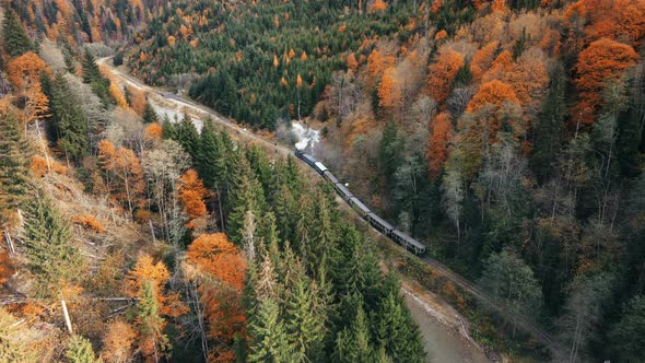 Aerial drone view of the moving steam train Mocanita in a valley along a river