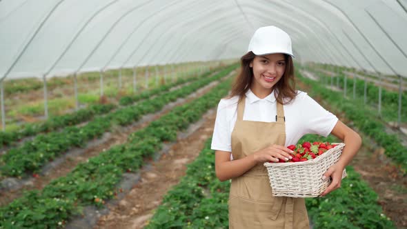 Cute Woman Enjoying Fresh Ripe Strawberries in Greenhouse