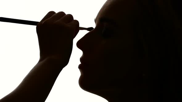 Woman Applying Eyeshadow Powder, Close Up, Silhouette, Slow Motion