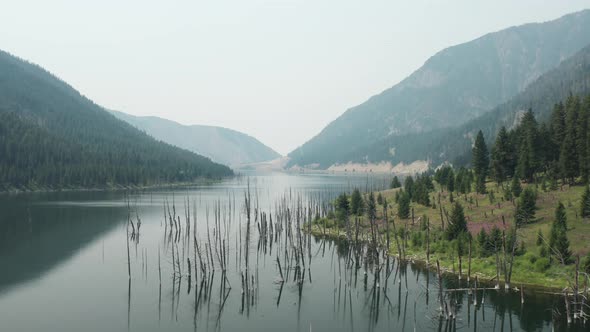 Aerial flyover Earth Quake Lake in Montana. Dead tree trunks on lake