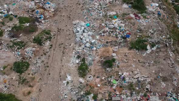 Aerial View of Landfill at the Summer Day