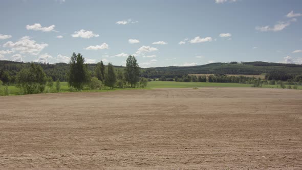 LONG TERM TIMELAPSE of a ploughed field turning green with crops