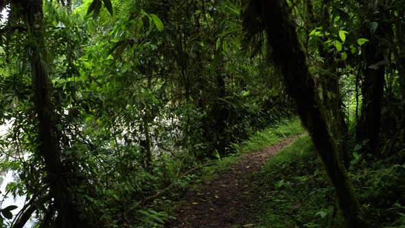 Following a hiking trail that is running in a curve