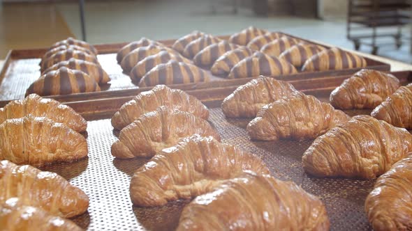 Fresh Baked Long Baguette Breads Lie on the Wooden Table Sprinkled with Flour in a Pile