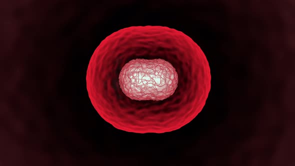 Dividing And Multiplying Cells