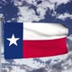 Texas Flag Waving - VideoHive Item for Sale