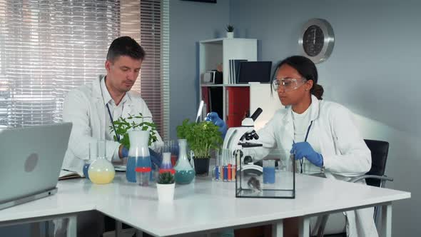 Black Female Research Scientist Giving His Colleague Testtubes with Fertilizer and Then Making