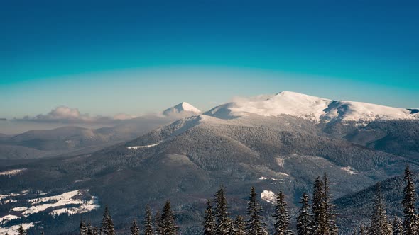 Beautiful Mountain Evening Cloudy Winter Firtree