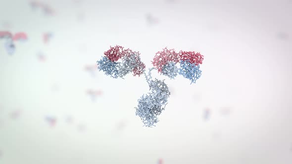 medically accurate 3d animation of an antibody