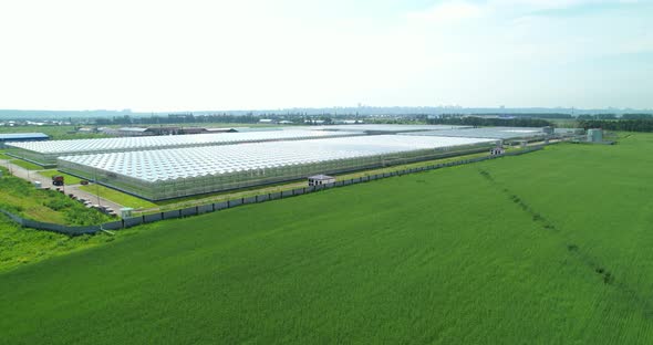 Large Industrial Greenhouses