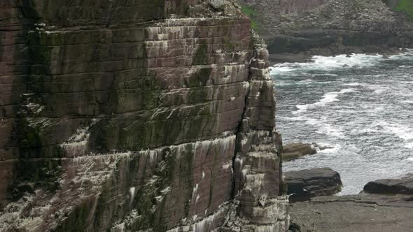 A panning and tilting shot of a seabird colony on a dramatic, sheer sea cliff as turquoise green wav