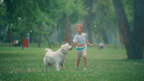 Joyful Little Kid Running Golden Retriever Playing Together in Summer Park