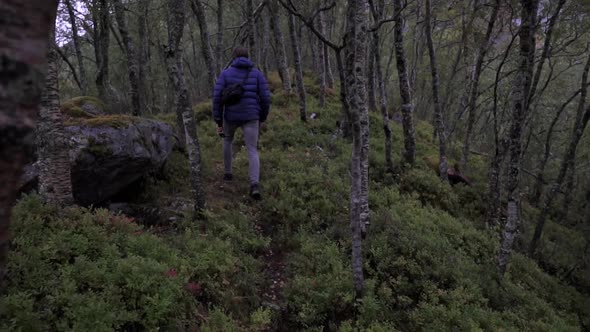 Person hiking in forest and mountain terrain, 5x slow motion, day time, Norway, Europe.