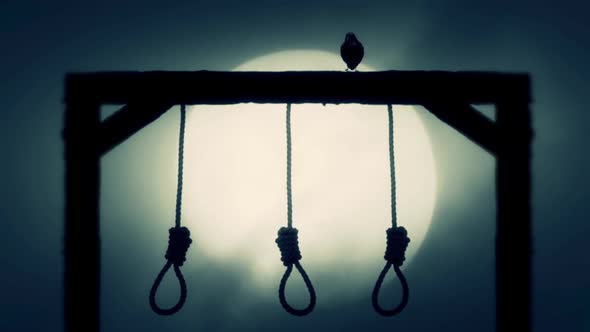 Nooses Hanging On A Gallows With A Raven On A Full Moon Background