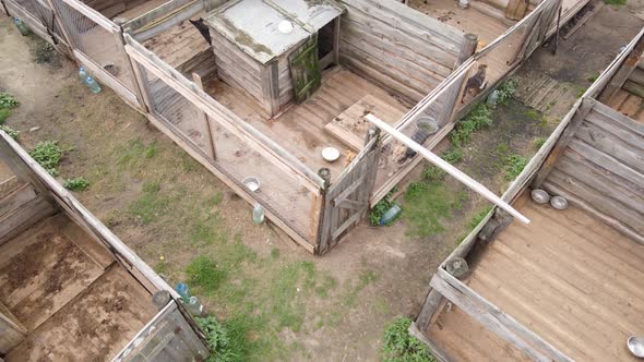 Aerial View of a Shelter for Stray Dogs.