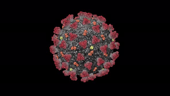 Concept-V1 3D Animation of Coronavirus (COVID-19) known as (SARS-CoV-2)