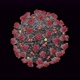 Concept-V1 3D Animation of Coronavirus (COVID-19) known as (SARS-CoV-2) - VideoHive Item for Sale