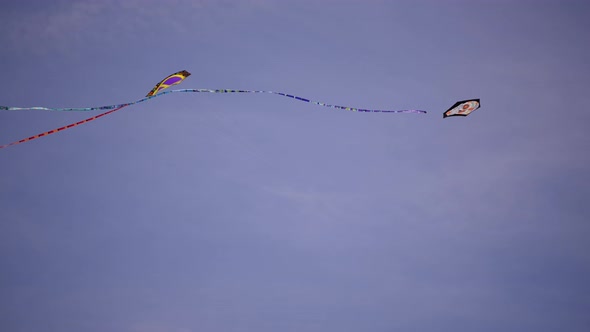 4k Video Kites On A Blue Sky