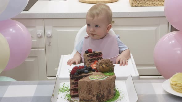 One Year Old Baby Boy Celebrating His First Birthday Cute Small Child Sitting in Front of Sweet