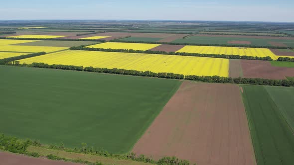 Aerial view of fields with various types of agriculture