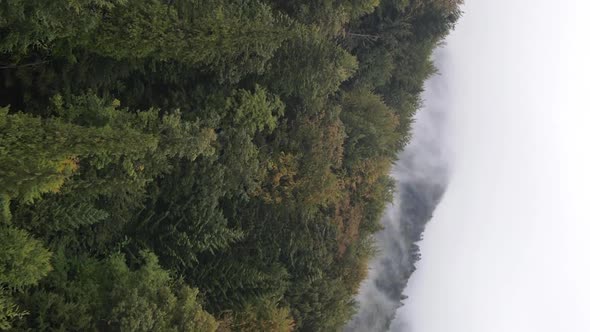 Vertical Video of Fog in the Mountains