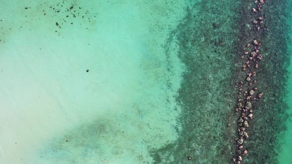 Aerial drone shot landscape of paradise resort beach wildlife by blue ocean with white sandy backgro