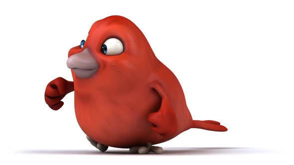 Fun cartoon bird