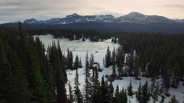 Flying view over a frozen forest in the mountains