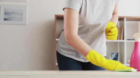 House Chores Finish Housework Furniture Hygiene