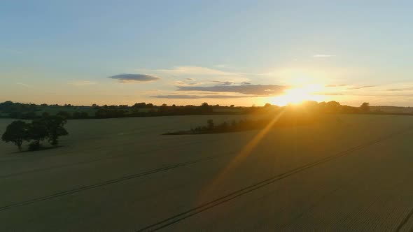 Flight Over Wheat Fields at Sunset