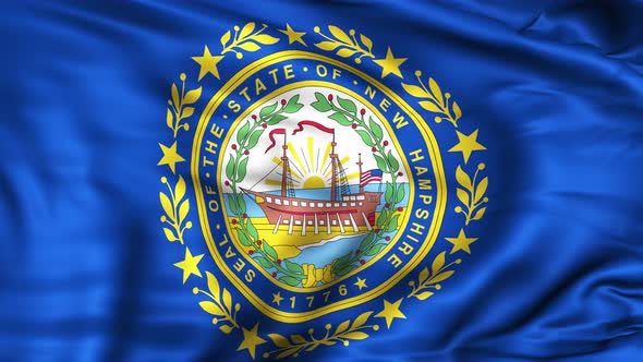 New Hampshire State Flag