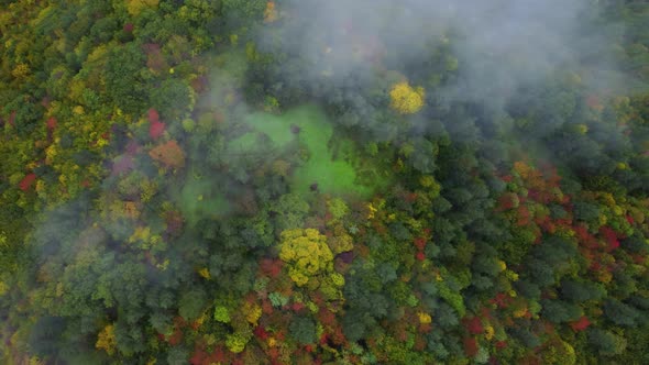 Colorful autumn foggy forest top view