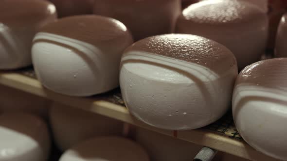 Cheese Heads Aging on Wooden Shelves at Warehouse