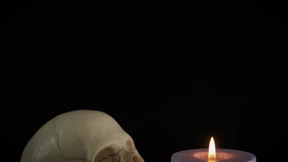 Religion in a Skull