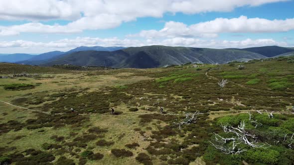 Drone flying next to mountain bike riders on top of a mountain trail. The drone flies over the rider