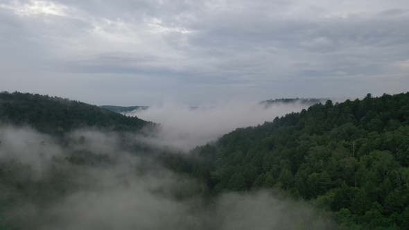 Aerial Forest with Fog