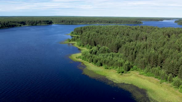 Flight over the taiga forest lake. Siberian nature